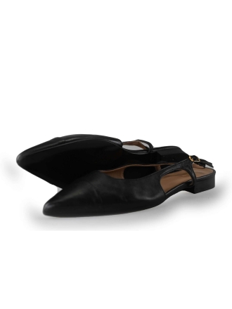 Notre-V Pumps