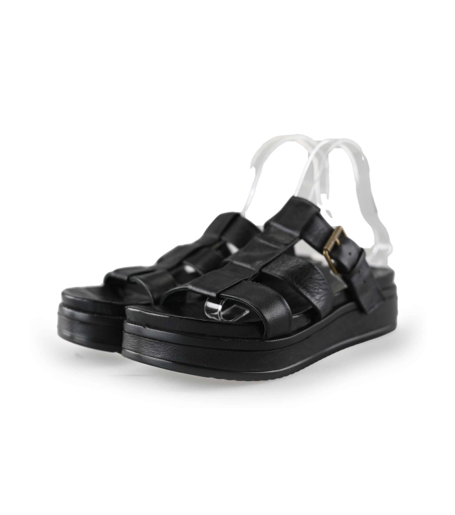 Shabbies Slippers