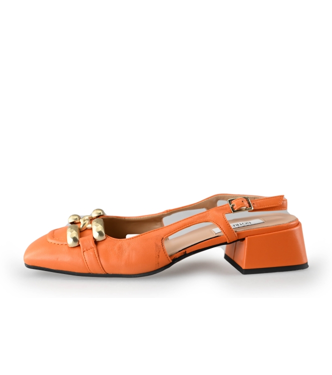 Notre-V Pumps