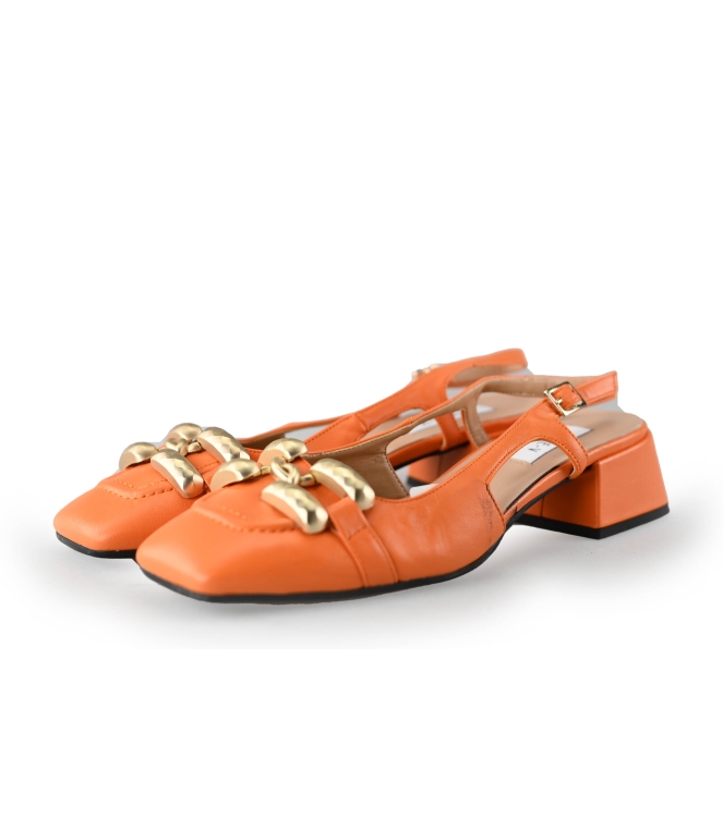 Notre-V Pumps