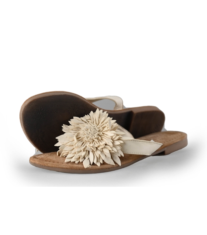 Lazamani Slippers