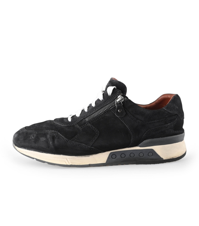 Greve Sneakers