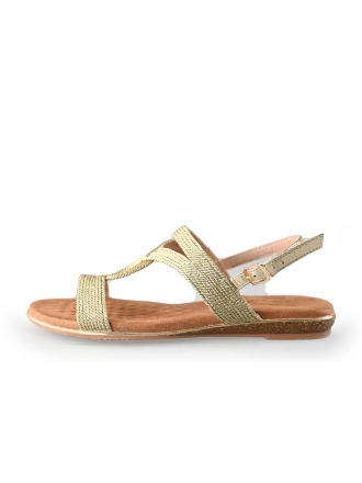 Dolcis Sneakers