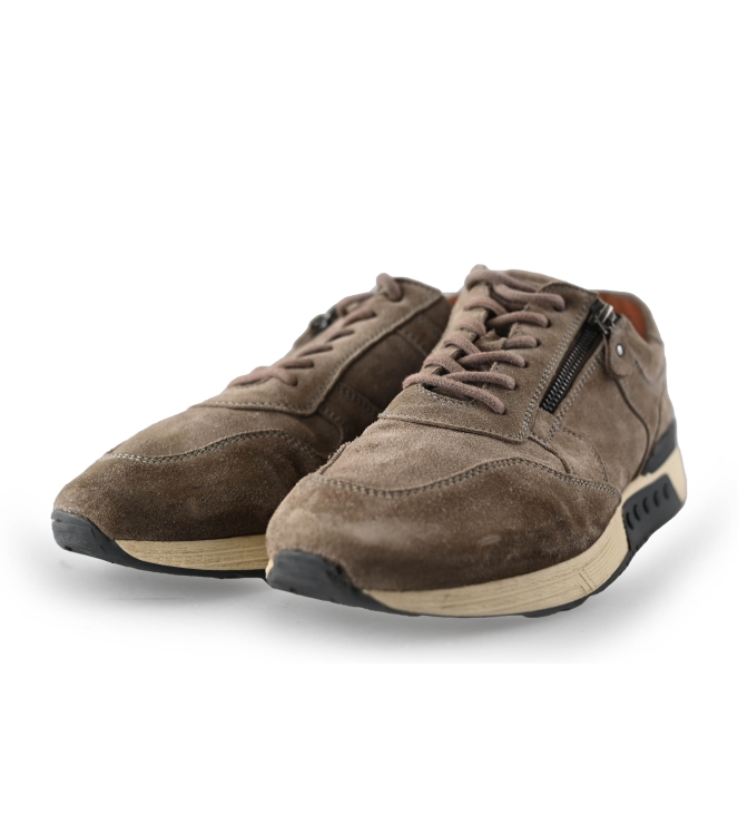 Greve Sneakers