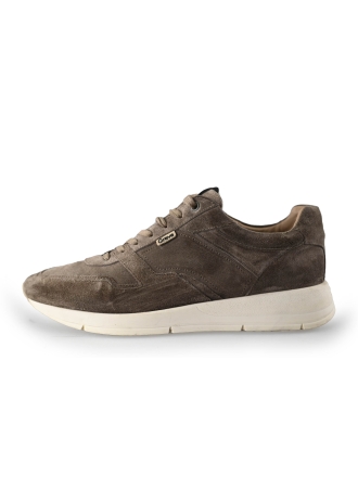 Greve Sneakers Bruin 221239