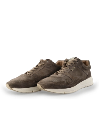 Greve Sneakers Bruin 221239