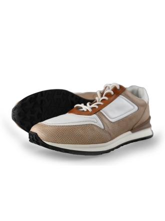 Greve Sneakers