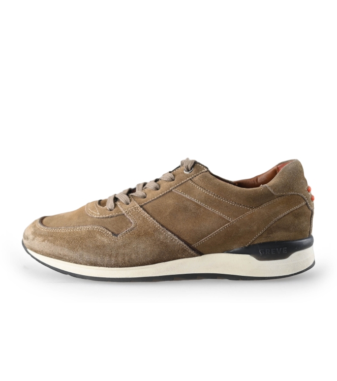 Greve Sneakers