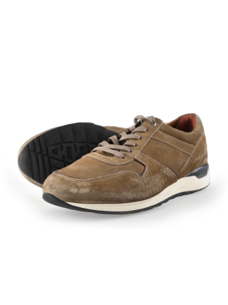 Greve Sneakers