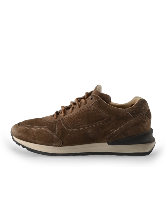 Greve Sneakers Bruin 221297