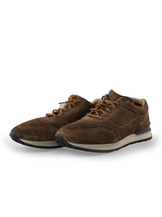 Greve Sneakers Bruin 221297