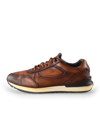 Greve Sneakers Bruin 221312