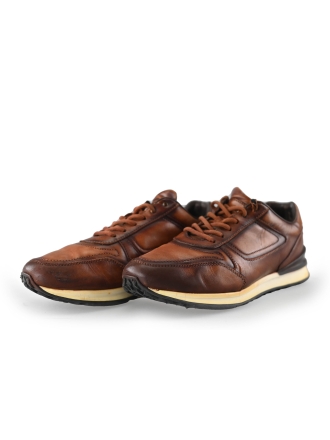 Greve Sneakers Bruin 221312