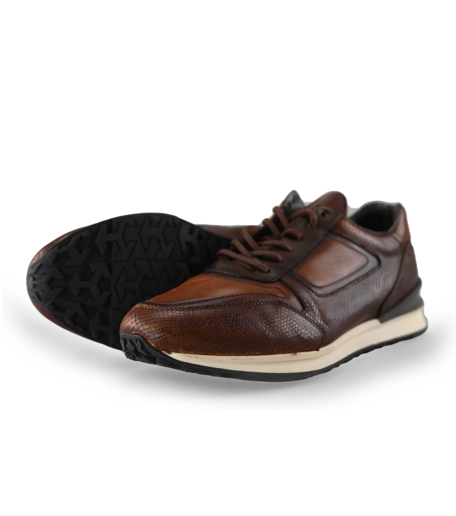 Greve Sneakers