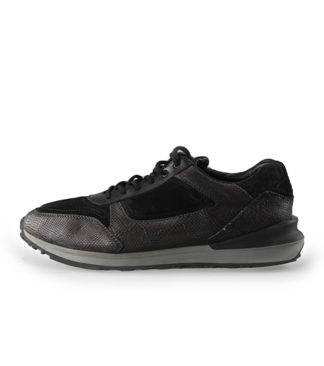 Greve Sneakers