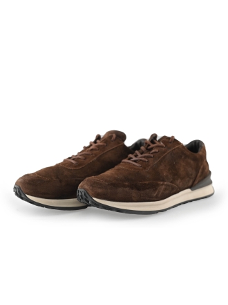 Greve Sneakers Bruin 221346
