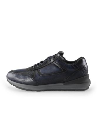 Greve Sneakers Blauw 221348