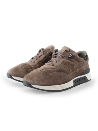 Greve Sneakers Bruin 221356