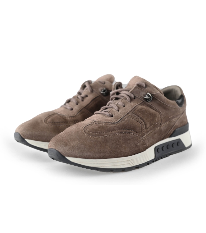Greve Sneakers