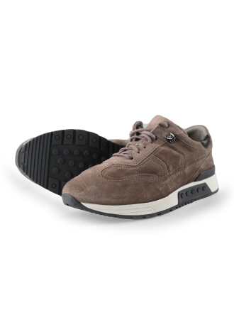 Greve Sneakers