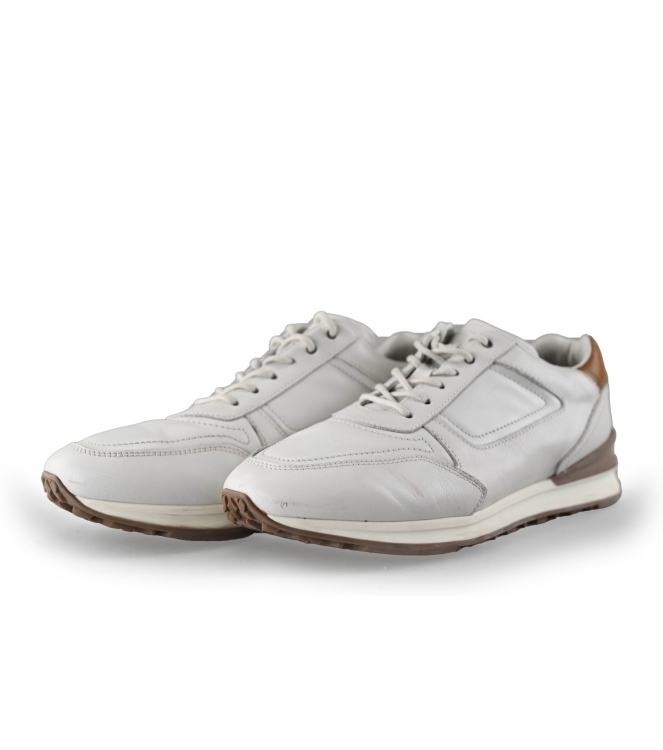 Greve Sneakers