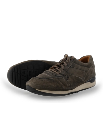 Greve Sneakers