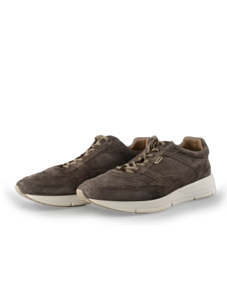 Greve Sneakers Grijs 221392
