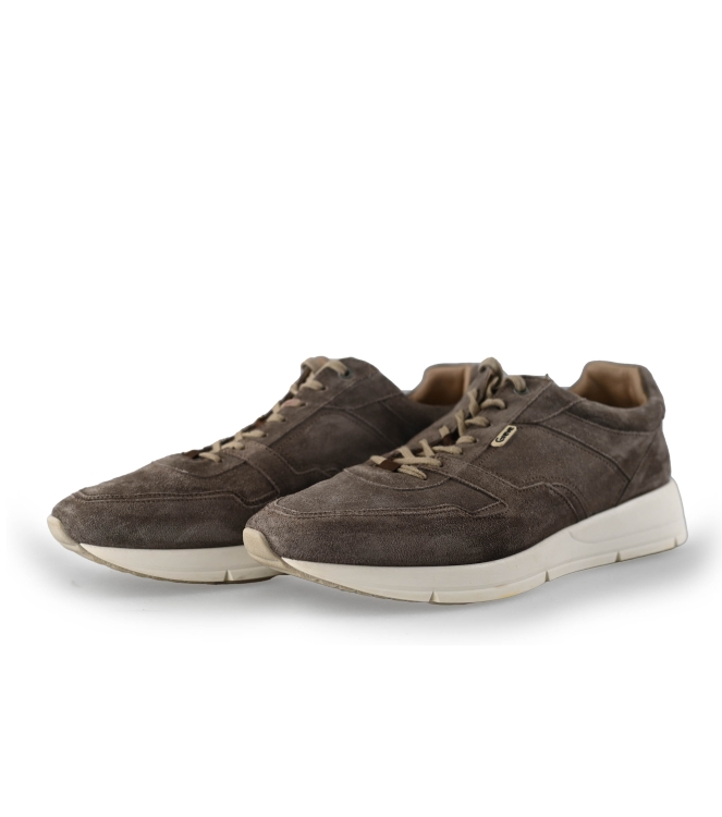 Greve Sneakers