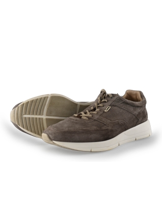 Greve Sneakers