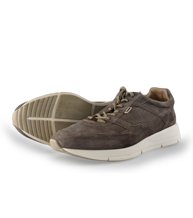 Greve Sneakers