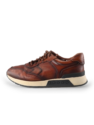 Greve Sneakers Bruin 221451
