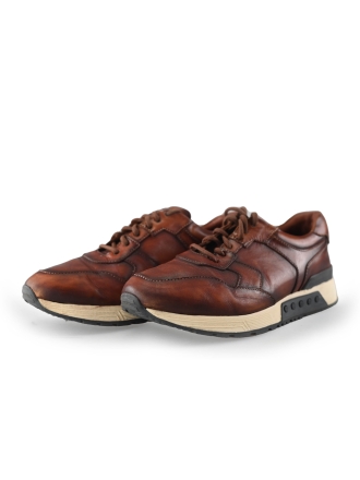 Greve Sneakers Bruin 221451