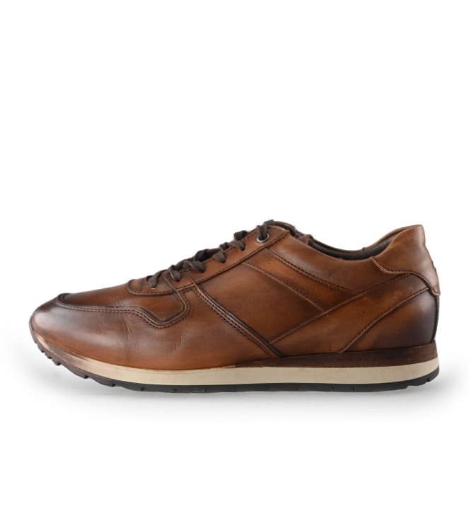 Greve Sneakers