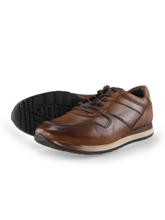 Greve Sneakers