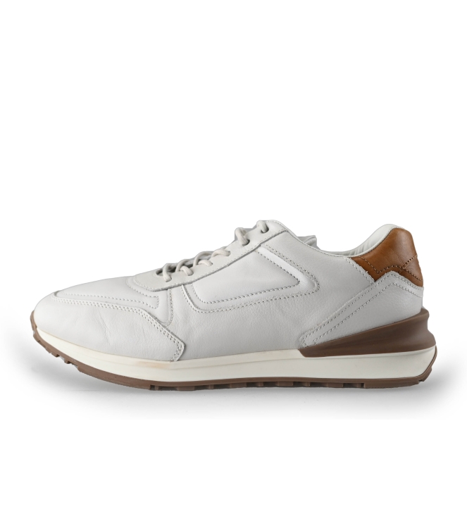 Greve Sneakers