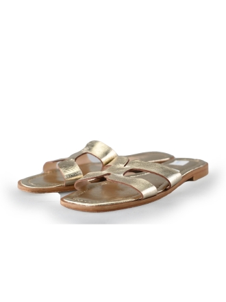Omoda Slippers Goud 221666