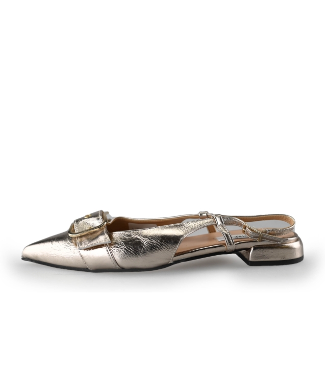 Notre-V Pumps