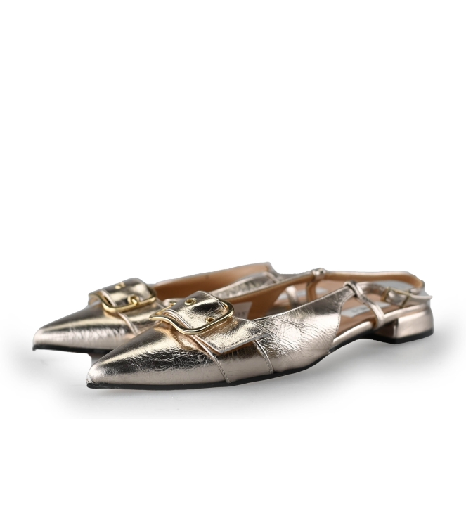 Notre-V Pumps