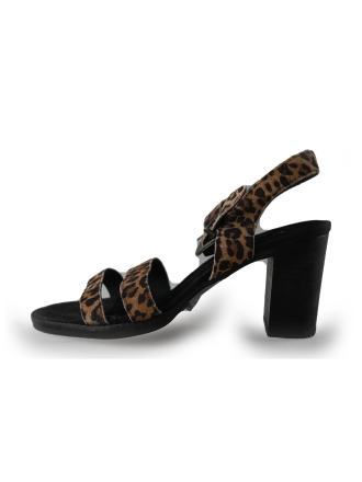 Ann Rocks Pumps Bruin 223357