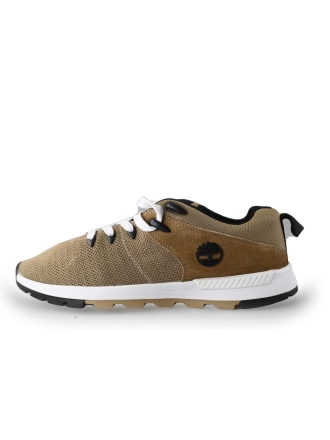Timberland Sneakers Bruin 224701