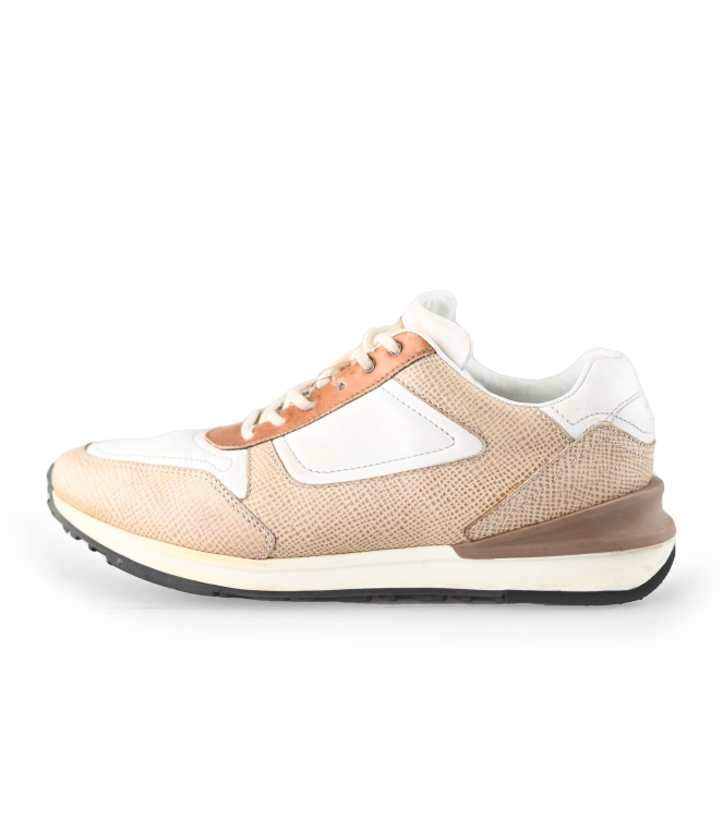 Greve Sneakers