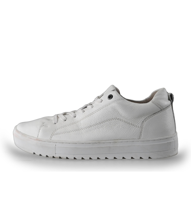 Nelson Sneakers