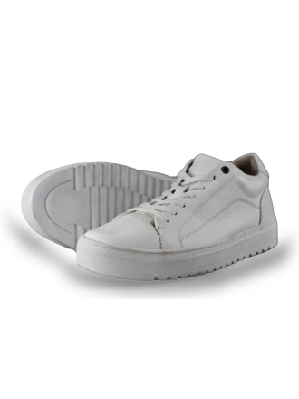 Nelson Sneakers