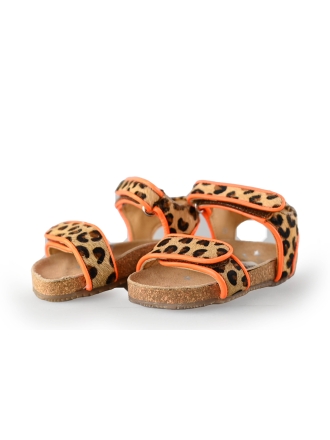 Muyters Sandalen Bruin 228425