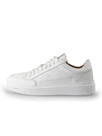 Clay Sneakers