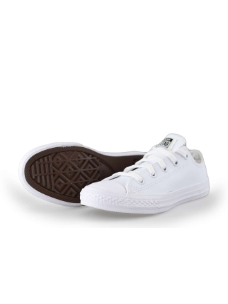 Converse Sneakers