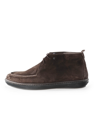 Van Bommel Bruin 234503