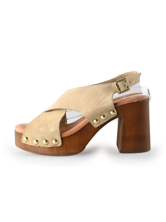 Notre-V Pumps