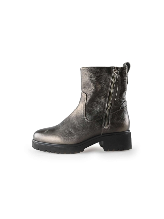 Piedi Nudi Enkellaarzen Grijs 231266