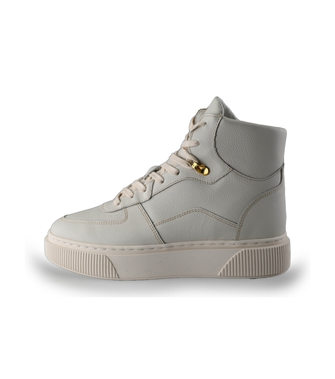 Cycleur de Luxe Veterboots